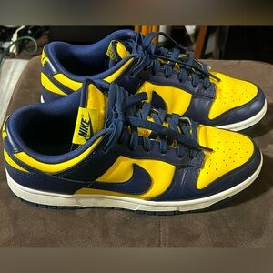 Nike Michigan dunk low